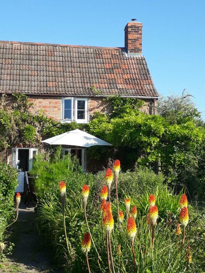 Morland Bed & Breakfast Burrowbridge Exterior photo